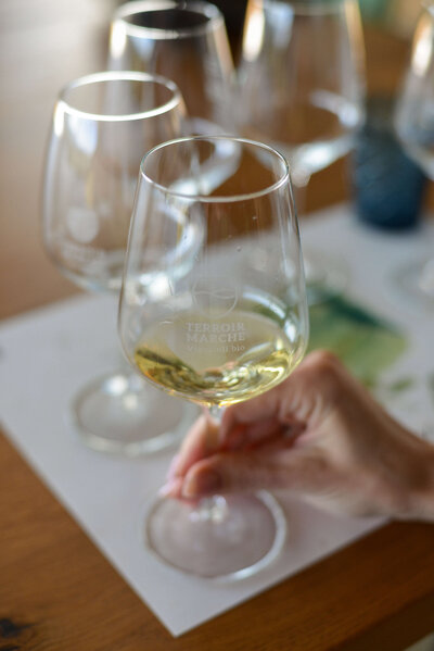 A close-up of two people toasting with glasses of white wine during an intimate Italy small group tour, highlighting the food and wine experience.