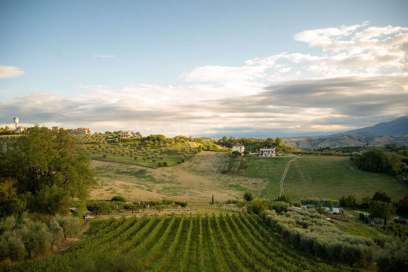 A breathtaking view of the Italian countryside with rolling vineyards and a farmhouse in the distance, showcasing the beauty of off-the-beaten-path Italy tours.