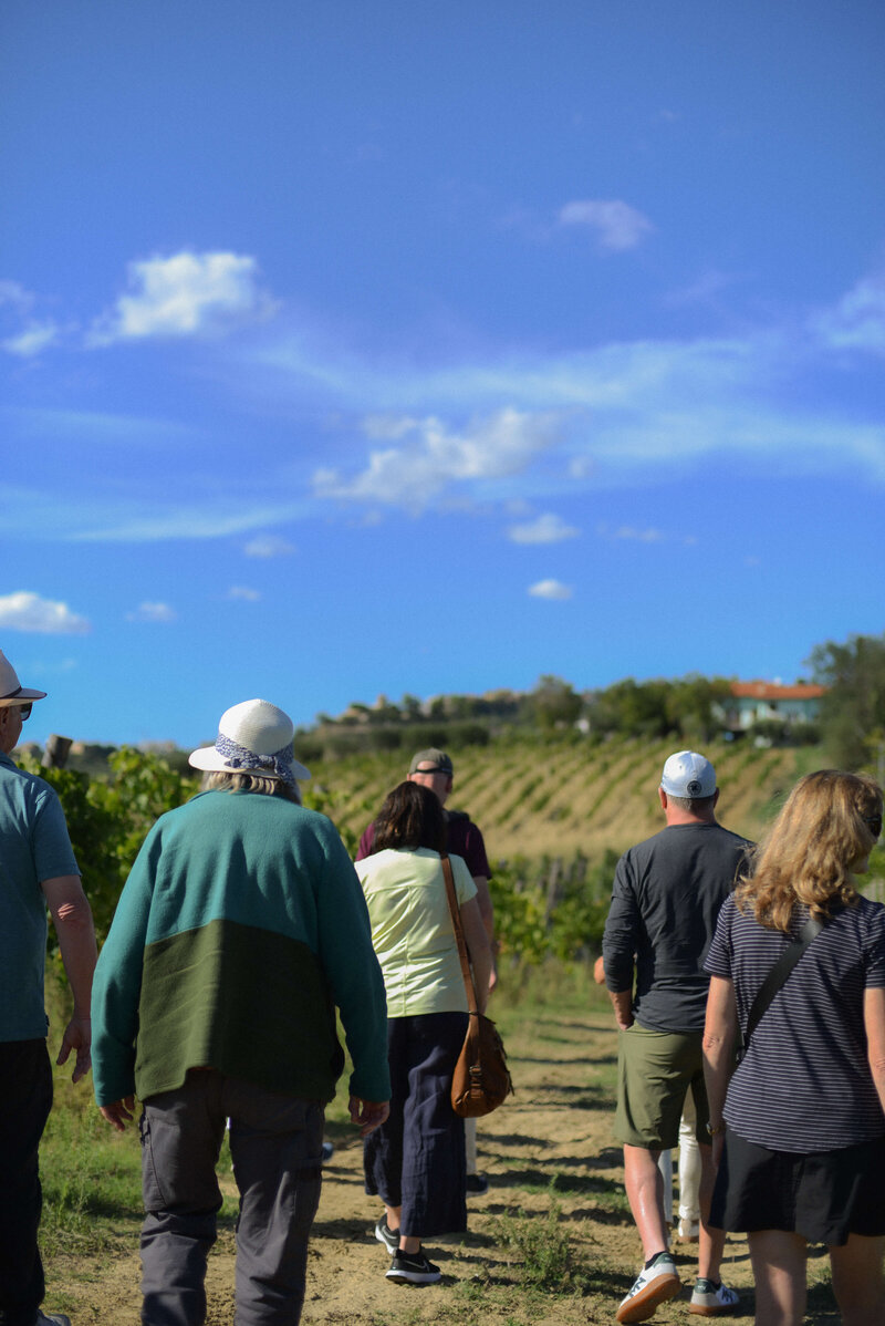 People walking through a vineyard on the Italian on Tour’s Celiac-friendly Gluten Free Italy Tour