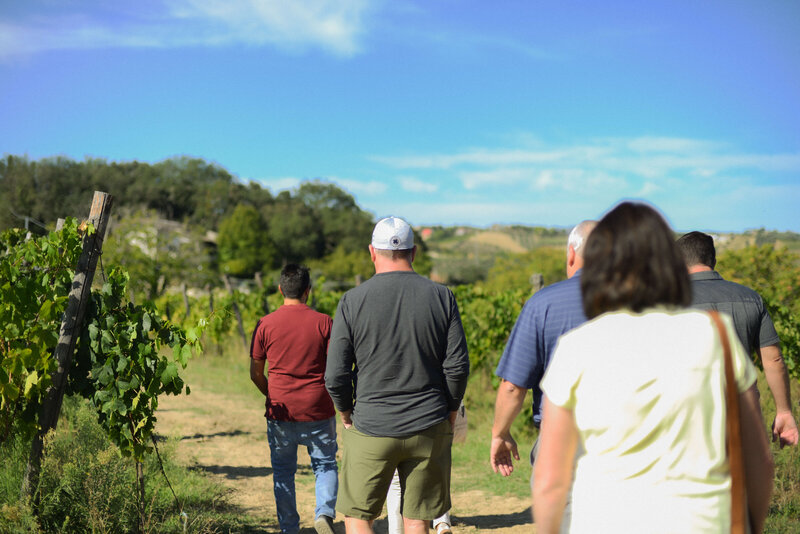 People walking through a vineyard On the Italian on Tour’s 10 day Epicurean Journey trip through Italy