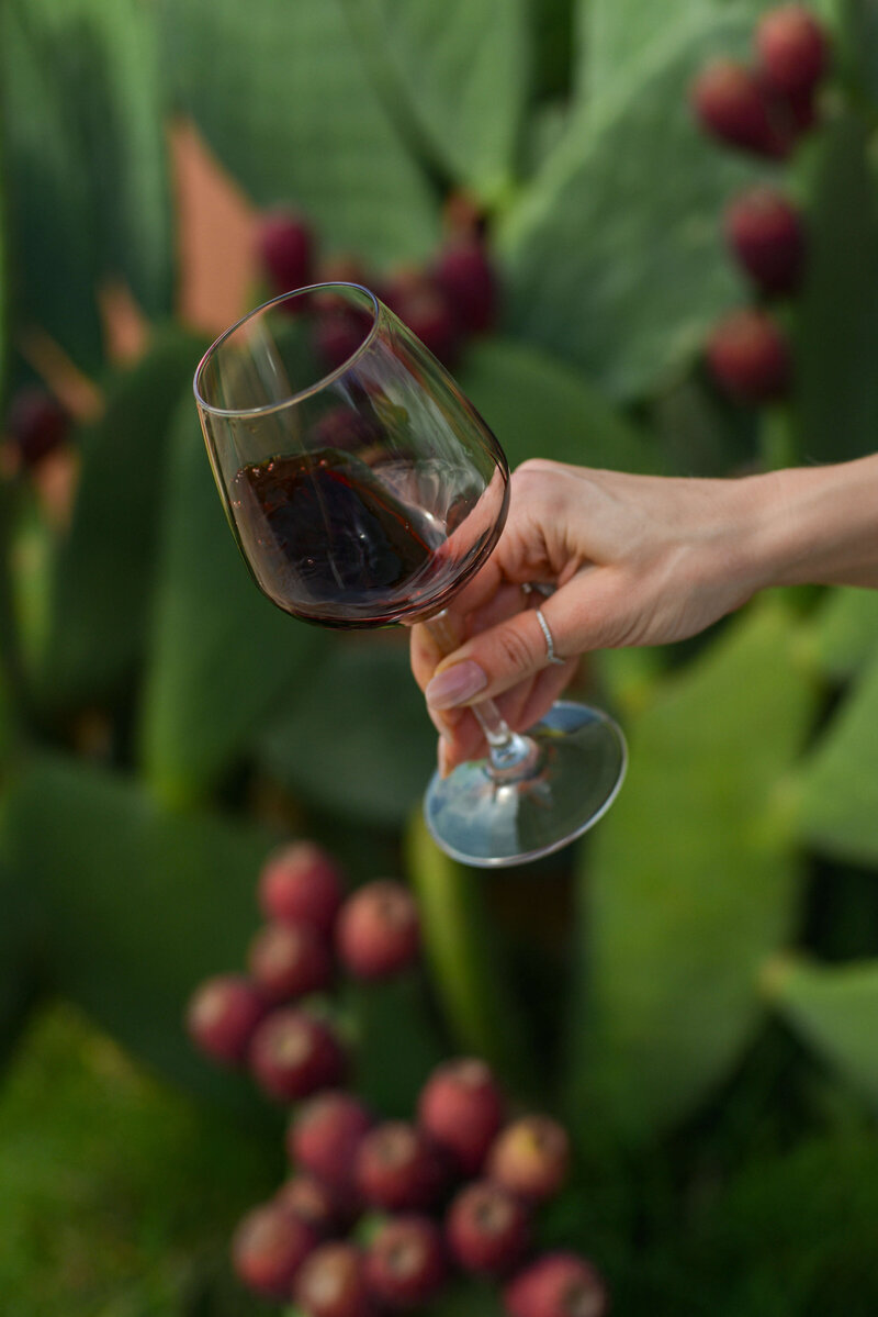 A hand holds a glass of red wine against a backdrop of fresh figs and greenery, highlighting the perfect Italian wine pairing experience.