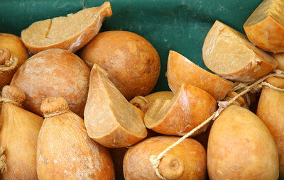 Fresh food eaten like a local On the Italian on Tour’s 8 day Passport to Puglia Food & Wine Tour