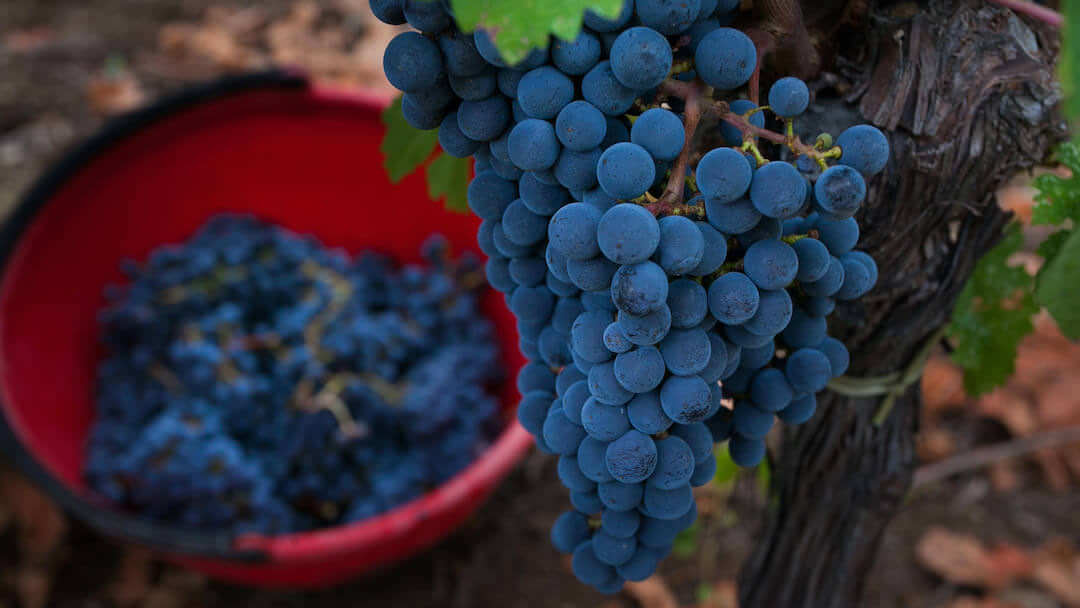 when is the best time to visit italy? the italian on tour