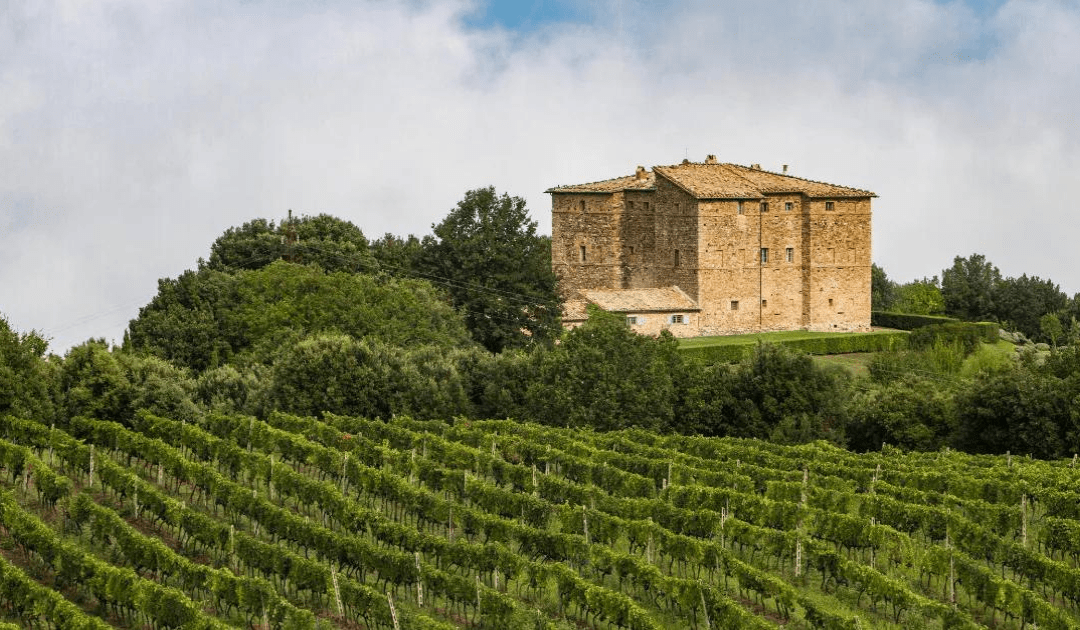 Rolling Vineyards In One of Italy's Top Wine Regions