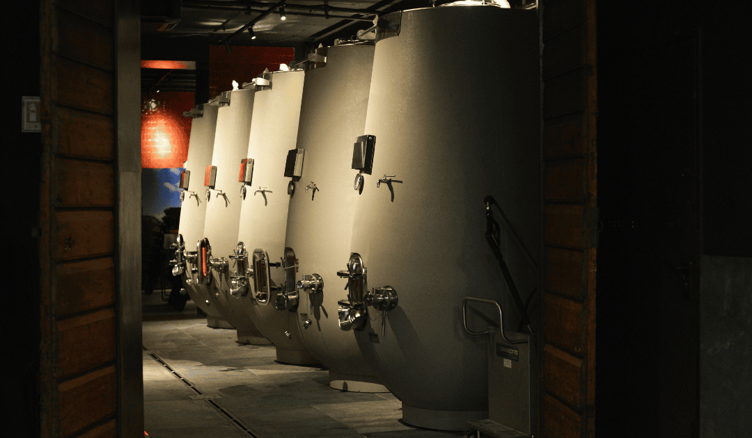 a wine cellar in umbria on a wine tour