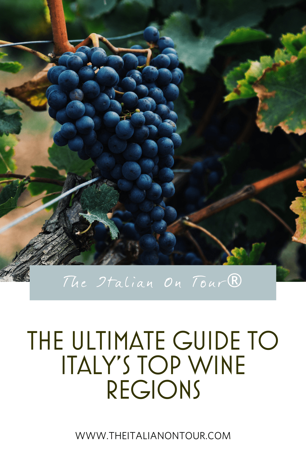 The Ultimate Guide to Italy's Top Wine Regions