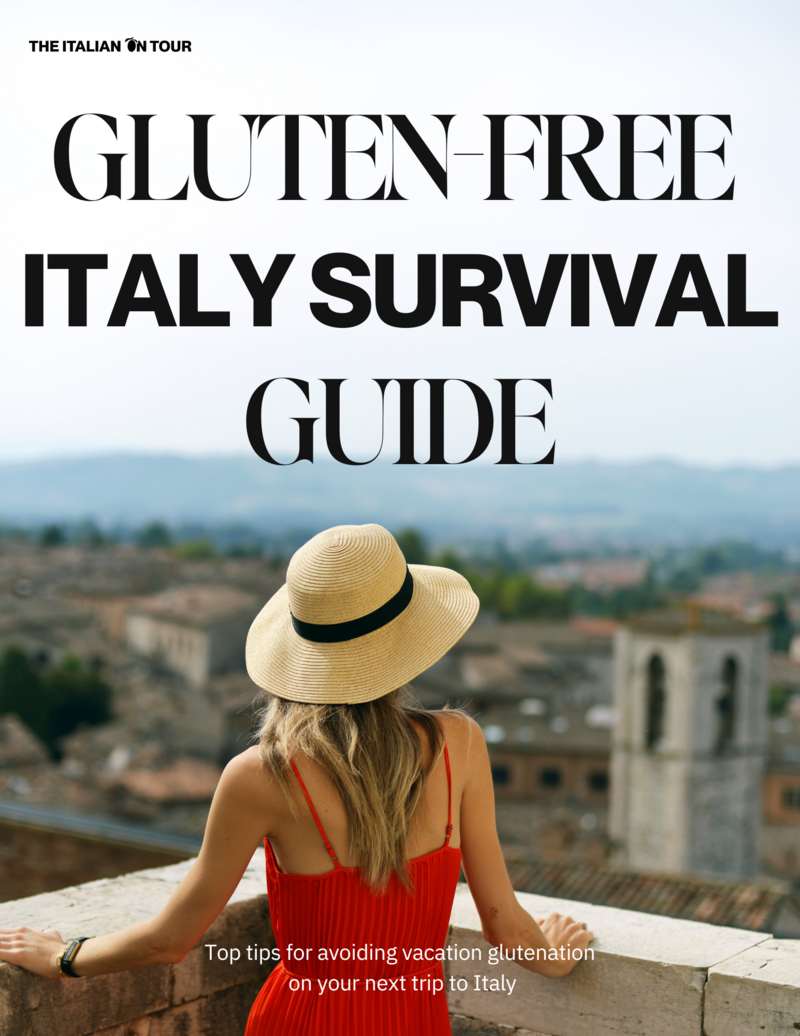 GF survival guide cover option 1