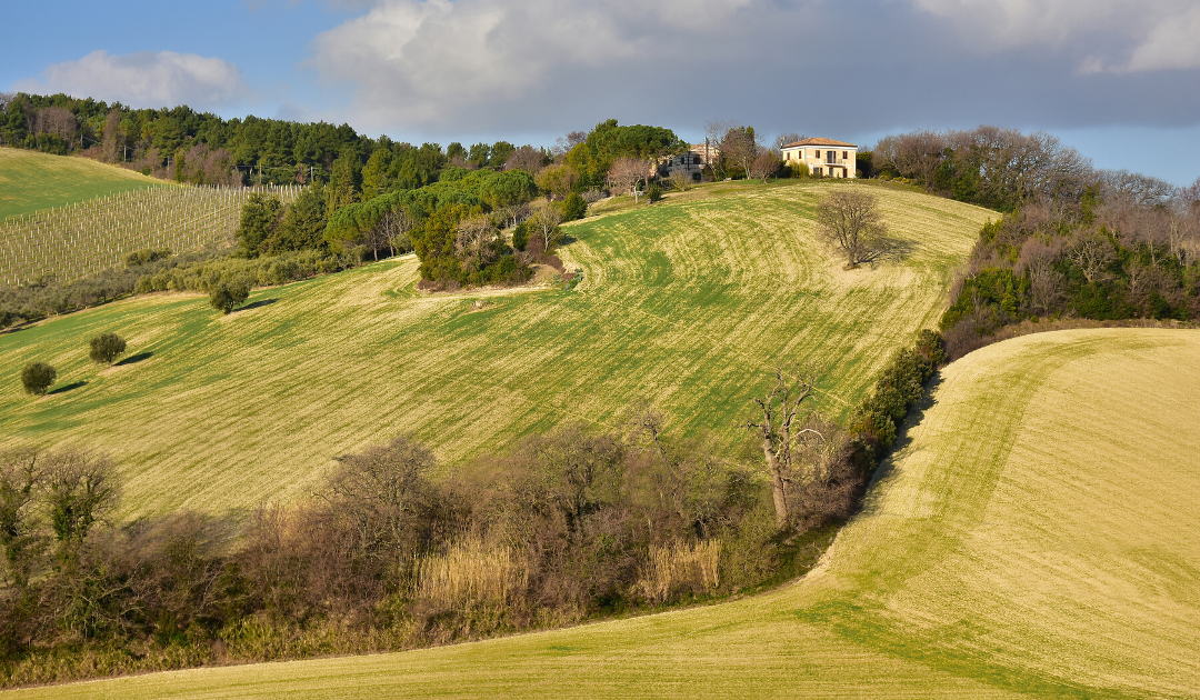 le marche italy podcast the italian on tour wine tours