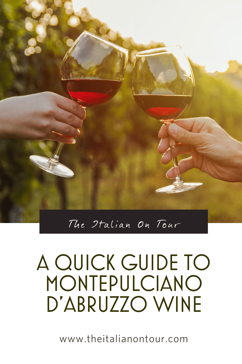 montepulciano d'abruzzzo wine italy