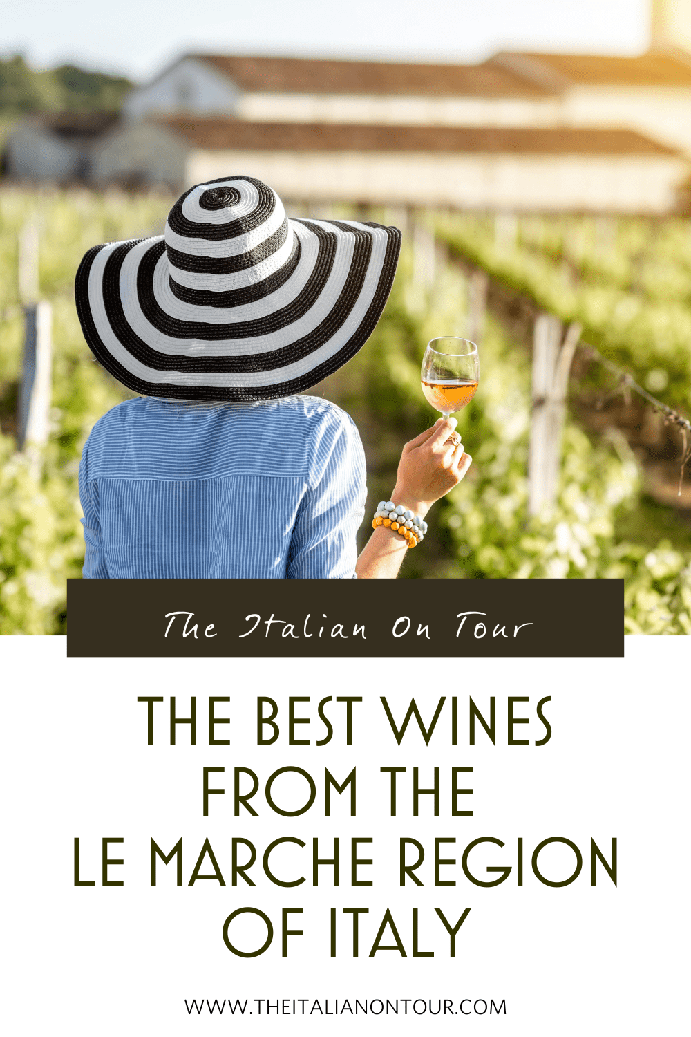 The Best Wines From The Le Marche Region Of Italy