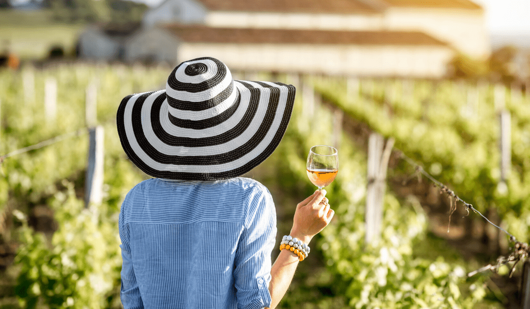 The Best Wines From The Le Marche Region Of Italy