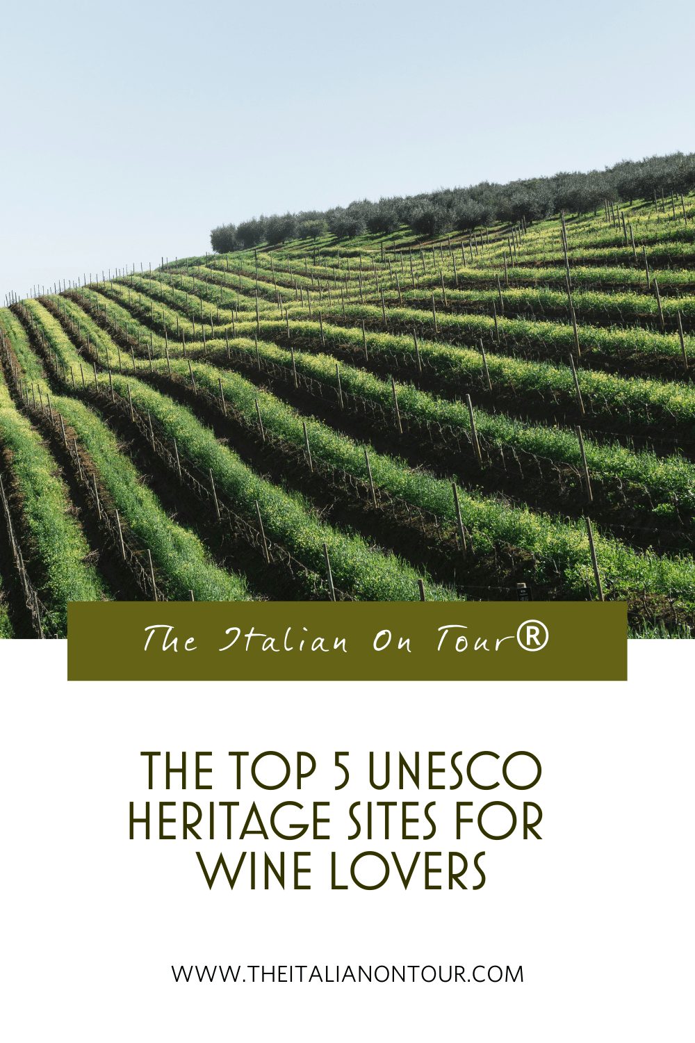 The Top 5 UNESCO Heritage Sites for Wine Lovers Pinterest Pin for The Top 5 UNESCO Heritage Sites for Wine Lovers