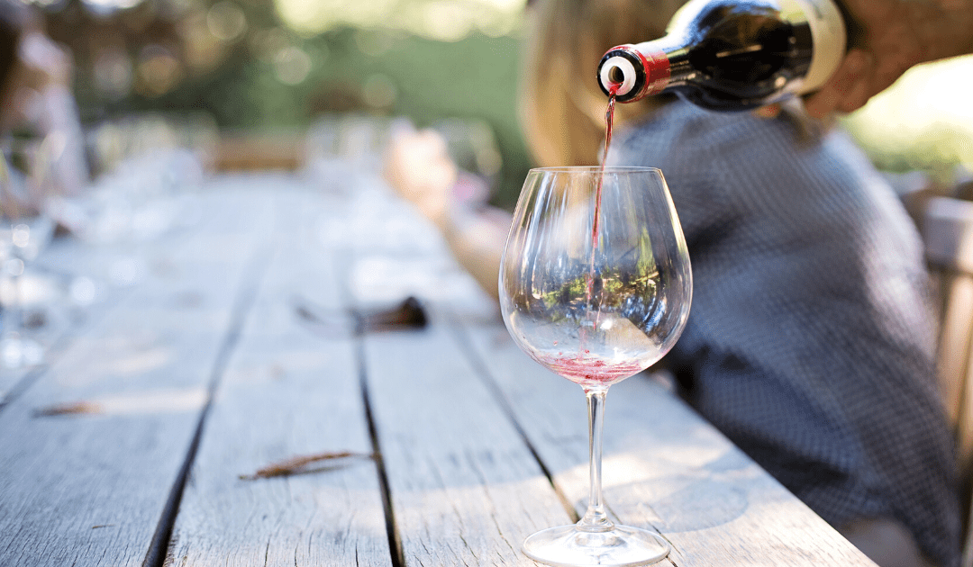 best wines from le marche italy