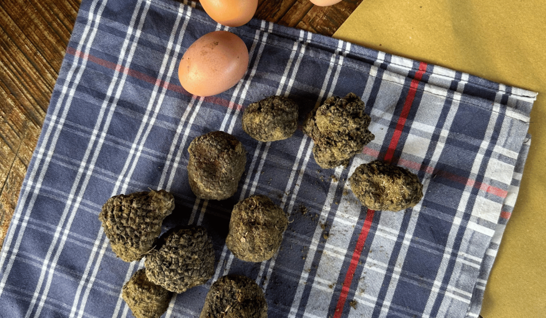 truffles flatlay