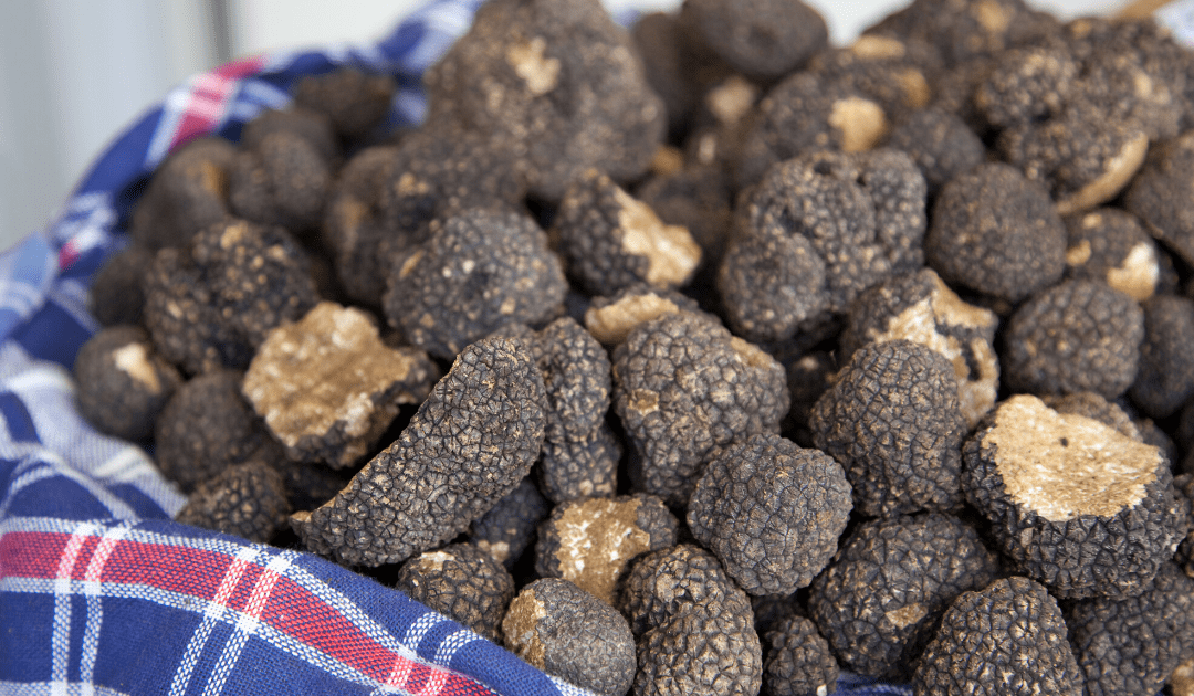 italy weather in october truffle season