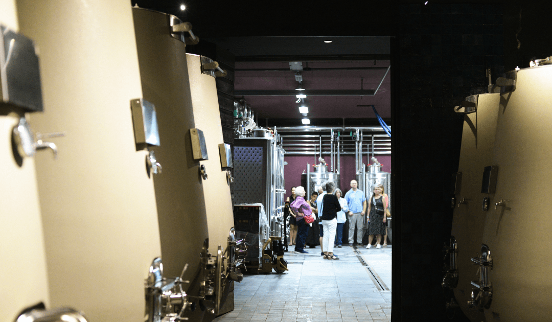 group of people visiting a cantina in umbria italy on a food and wine tour